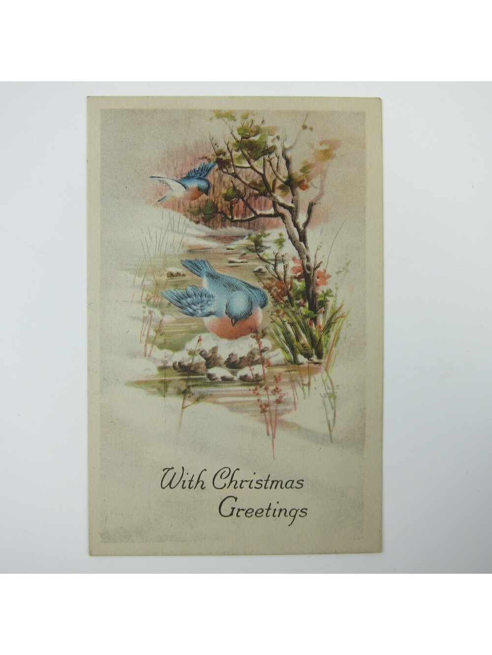 Vintage Christmas Postcard Snowy Creek Blue Birds in Trees Gibson Antique 1922